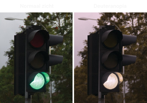 The difference between normal vision and deuteranopia (red-green color blindness)